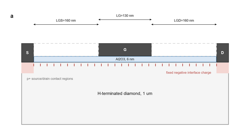 Reconstructed H-terminated diamond FET cross-section used in the TCAD research-training project
